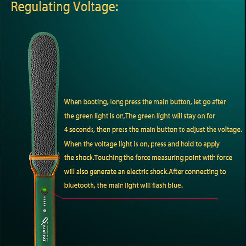 The Beat Pat- Smart App Controlled Electric Shock Paddle