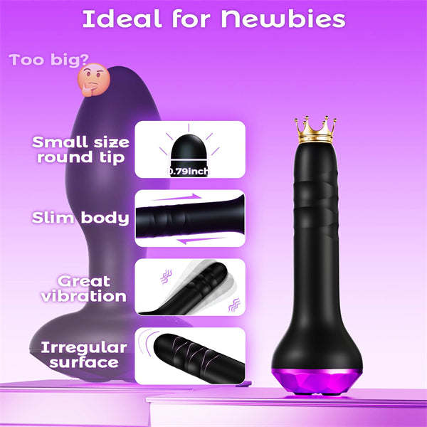 10 Vibrating & Rotating Modes Butt Plug Vibrator Toys