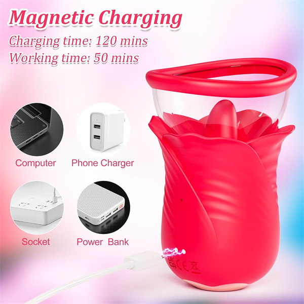 10 Vibration & 6 Suction Rose Toy