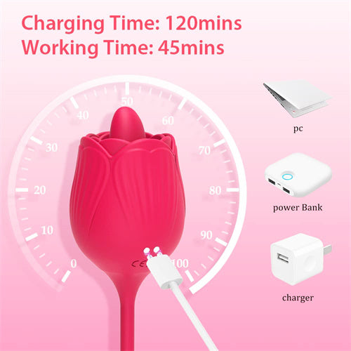 4IN1 Rose Sex Stimulator Vibrator Maria Red